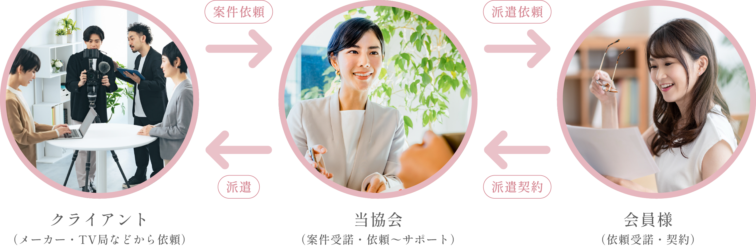 メディア出演の流れ