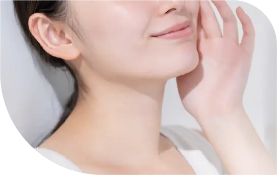 スタンダードコースカリキュラム