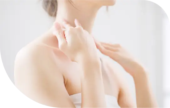 スタンダードコースカリキュラム